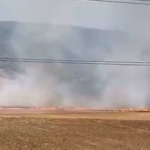 İnegöl'de Tarla Yangını: 16 Yaşındaki Şüpheli Gözaltında