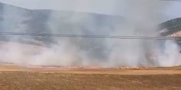 İnegöl'de Tarla Yangını: 16 Yaşındaki Şüpheli Gözaltında