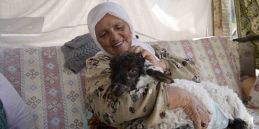 Torul'da 76 yaşındaki Türkmen Nine, kuzusu Boncuk'u torunu gibi büyütüyor