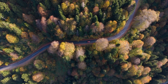 Zigana Dağı ve Limni Gölü çevresinde sonbaharın sarı ve yeşil tonları görülüyor